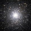 m15 (1).jpg