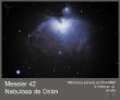m 42 b.jpg